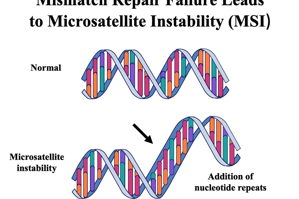 Know What Your Doctor Knows: What is Microsatellite instability-high [MSI-H]